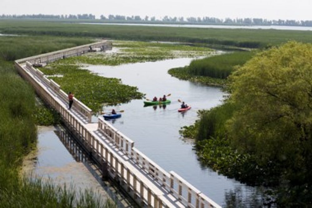 Point Pelee National Park Cruise the Coast