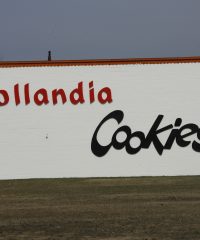 Hollandia Cookies
