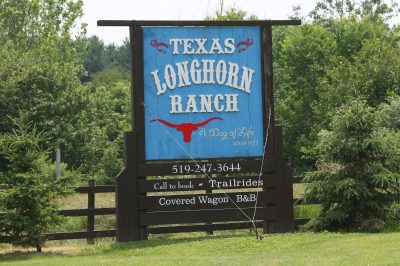 Texas Longhorn Ranch