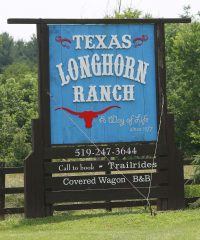 Texas Longhorn Ranch