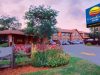 The Comfort Inn