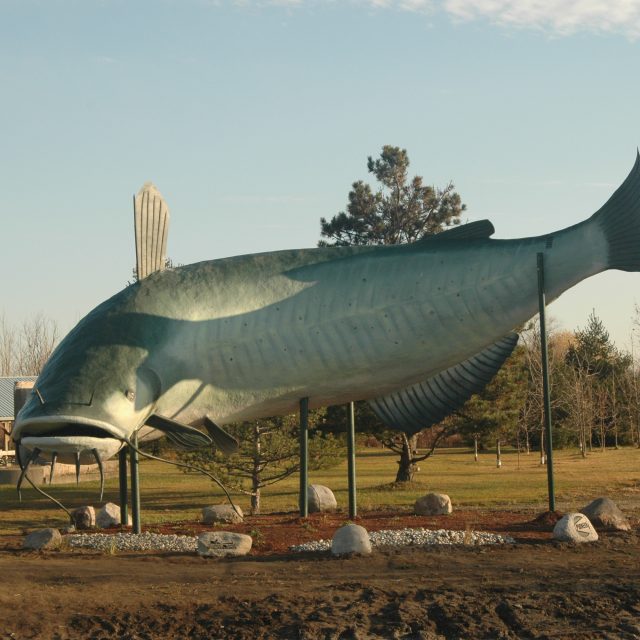 Ride Idea: Run to Dunnville Mudcat Fest