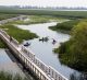 Point Pelee National Park