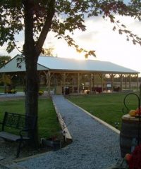 Erie Shores Vineyard