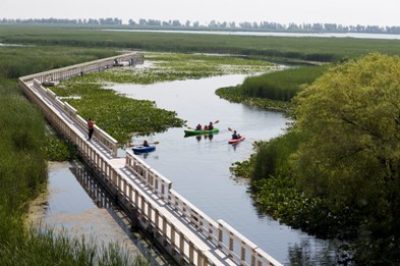 Point Pelee National Park