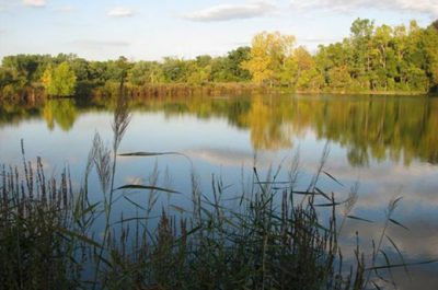 Holiday Beach Conservation Area