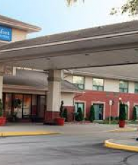 Comfort Inn and Suite Ambassador Bridge