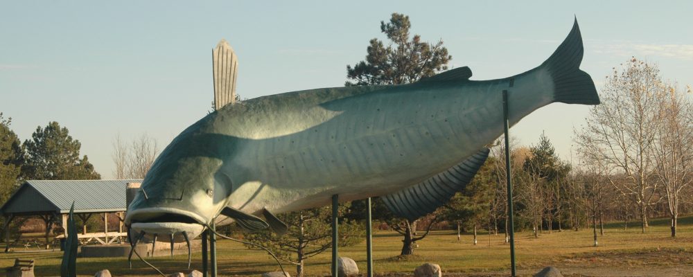 Ride Idea: Run to Dunnville Mudcat Fest