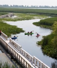 Point Pelee National Park