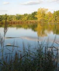 Holiday Beach Conservation Area