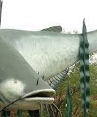 World’s Biggest Mudcat Attraction