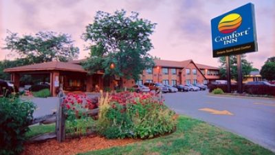 The Comfort Inn