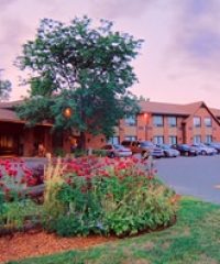 The Comfort Inn